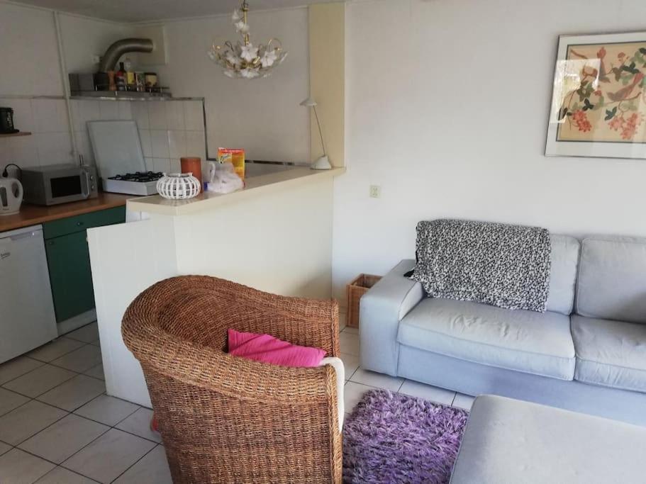Cottage Egmond-Binnen Met Besloten Tuin Bagian luar foto