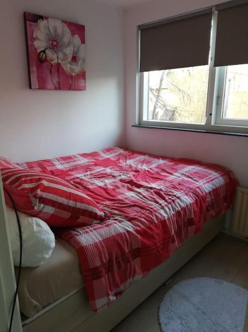 Cottage Egmond-Binnen Met Besloten Tuin Bagian luar foto