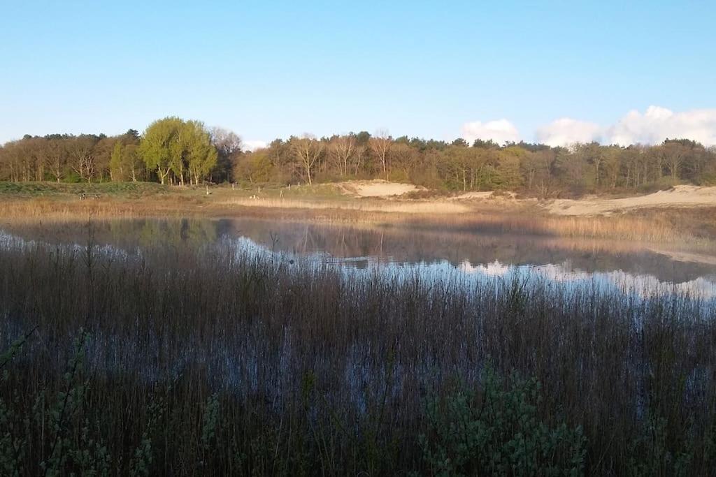 Cottage Egmond-Binnen Met Besloten Tuin Bagian luar foto