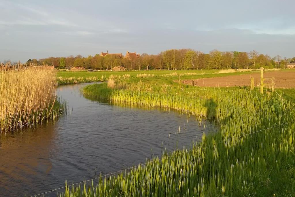 Cottage Egmond-Binnen Met Besloten Tuin Bagian luar foto