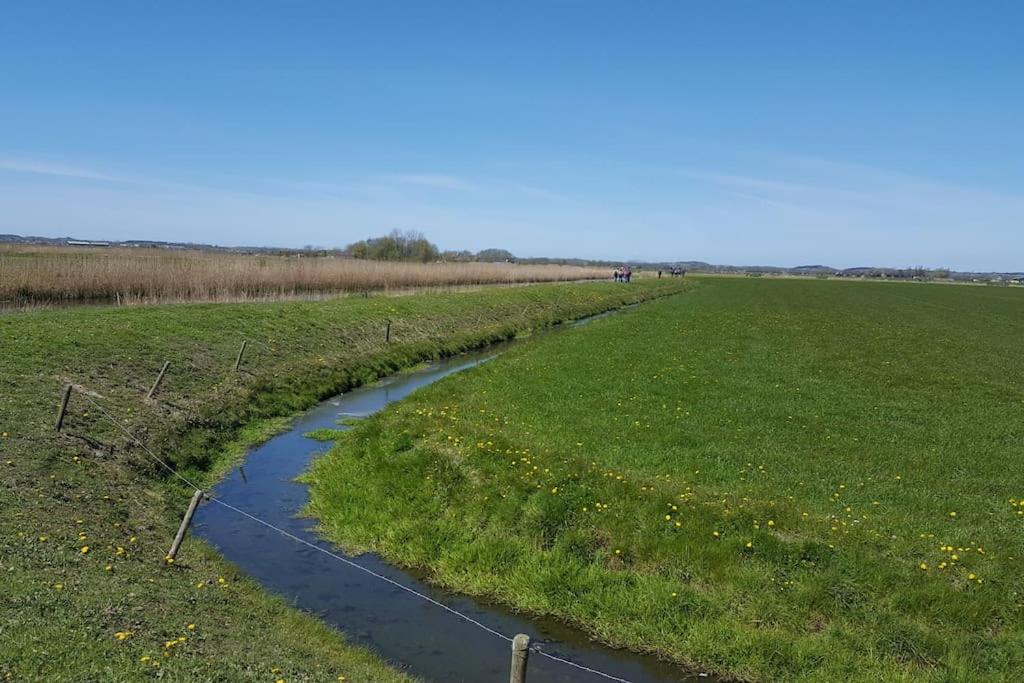 Cottage Egmond-Binnen Met Besloten Tuin Bagian luar foto