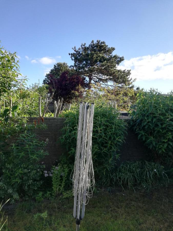 Cottage Egmond-Binnen Met Besloten Tuin Bagian luar foto