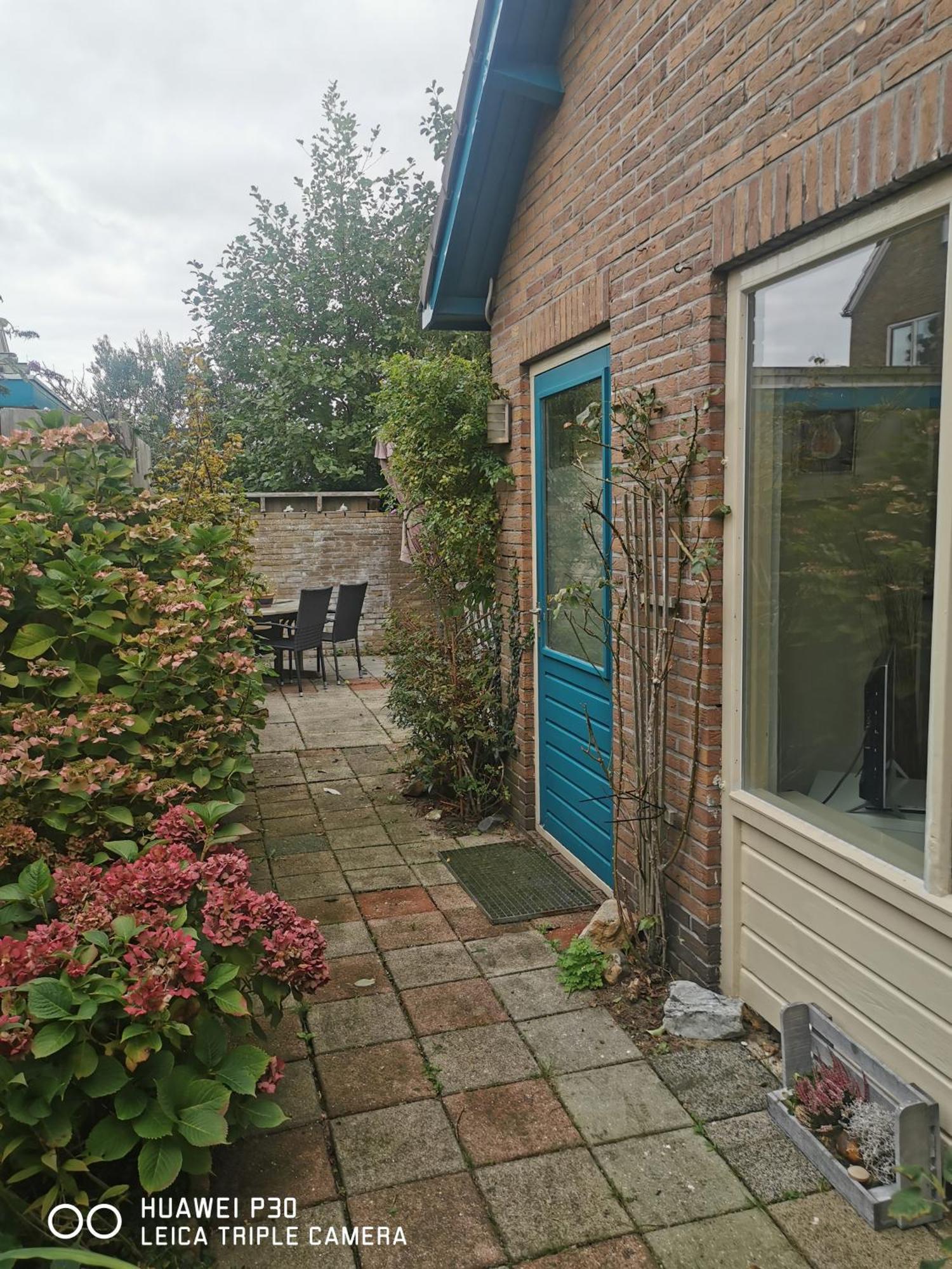 Cottage Egmond-Binnen Met Besloten Tuin Bagian luar foto